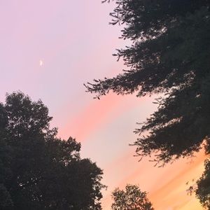 Meet your Posher, Payton